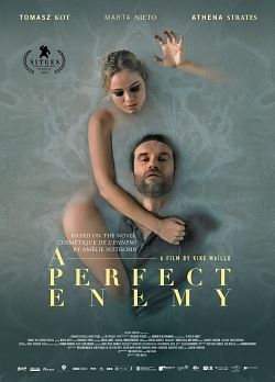 gktorrent A Perfect Enemy FRENCH WEBRIP 2022