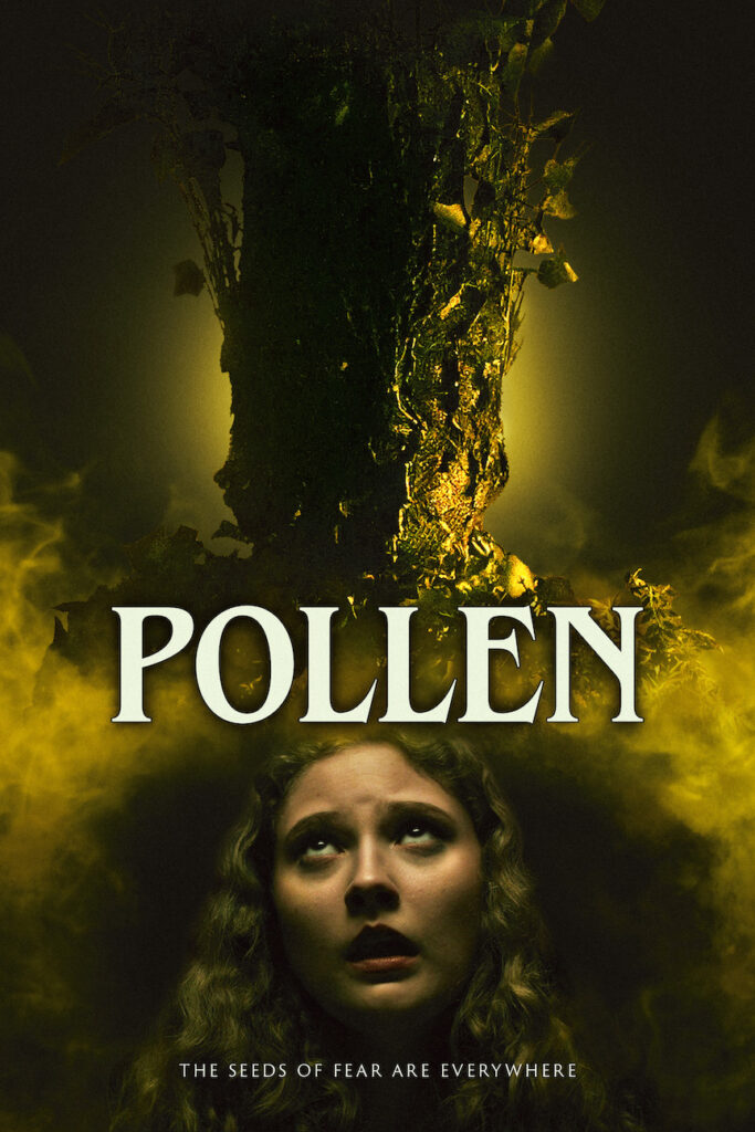 gktorrent Pollen FRENCH WEBRIP LD 720p 2023