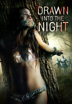 gktorrent Drawn Into the Night FRENCH WEBRIP LD 720p 2022