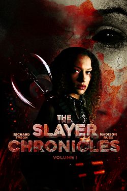 gktorrent The Slayer Chronicles - Volume 1 FRENCH WEBRIP LD 2022