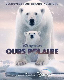 gktorrent Ours Polaire FRENCH WEBRIP 1080p 2022