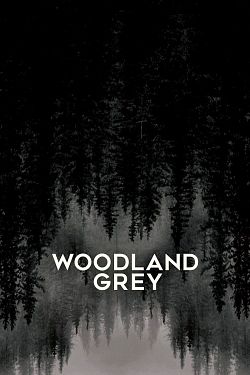 gktorrent Woodland Grey FRENCH WEBRIP LD 720p 2022