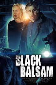 gktorrent Black Balsam FRENCH WEBRIP LD 1080p 2023