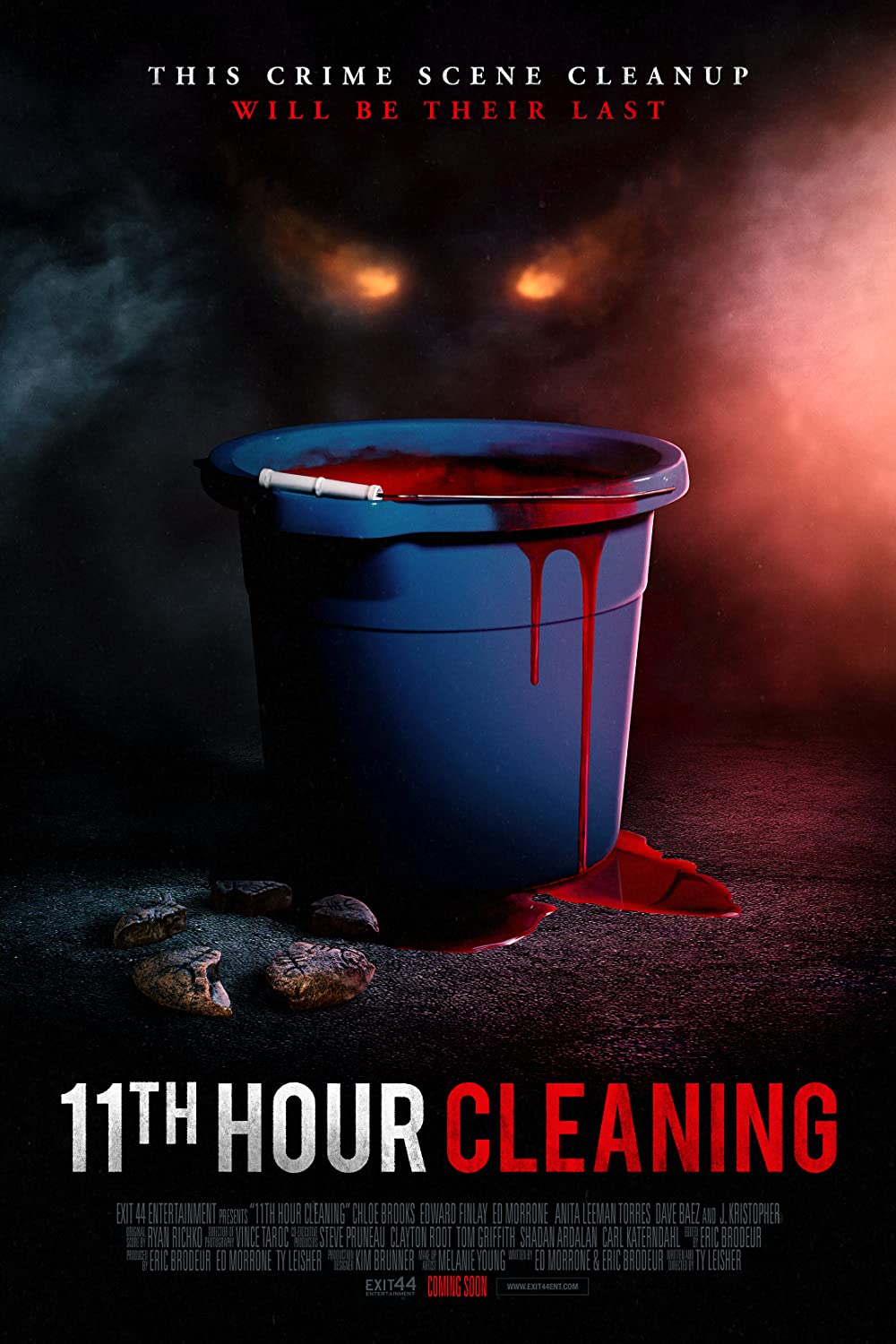 gktorrent 11th Hour Cleaning FRENCH WEBRIP LD 1080p 2022