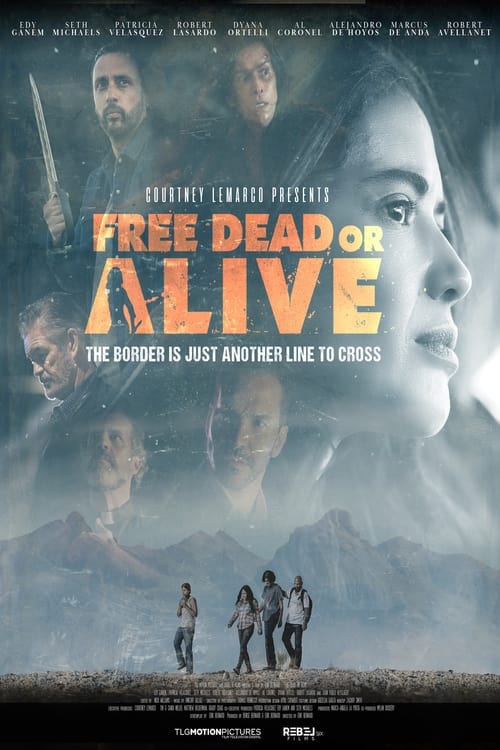 gktorrent Free Dead or Alive FRENCH WEBRIP LD 720p 2022